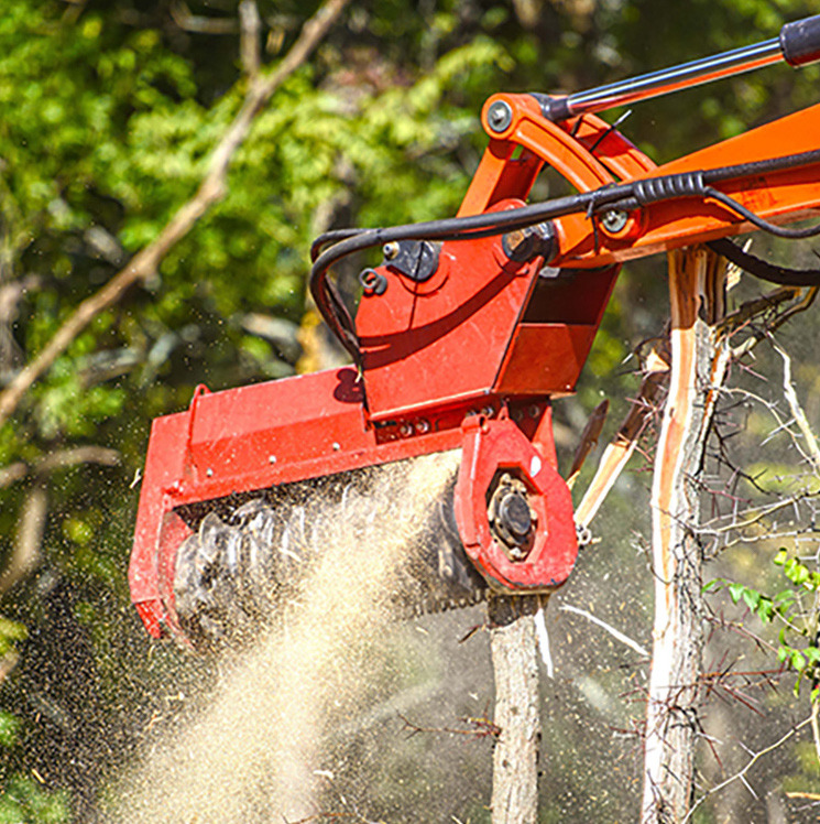 Mulcher attachment Pro Contractor Rentals
